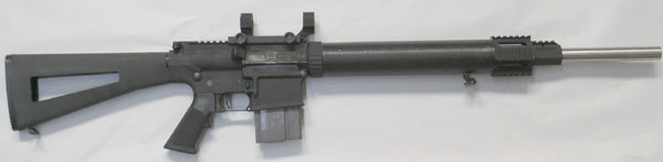 ASI Armalite 300 Remington Pro-Hunter